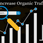 How to increase organic traffic for big human leads — complete strategy guide