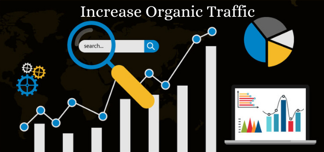 How to increase organic traffic for big human leads — complete strategy guide