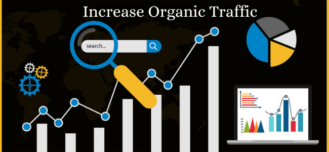 How to increase organic traffic for big human leads — complete strategy guide