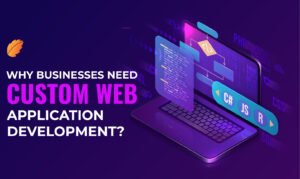 affordable custom web app development for small businesses in austin — developer building a custom web application